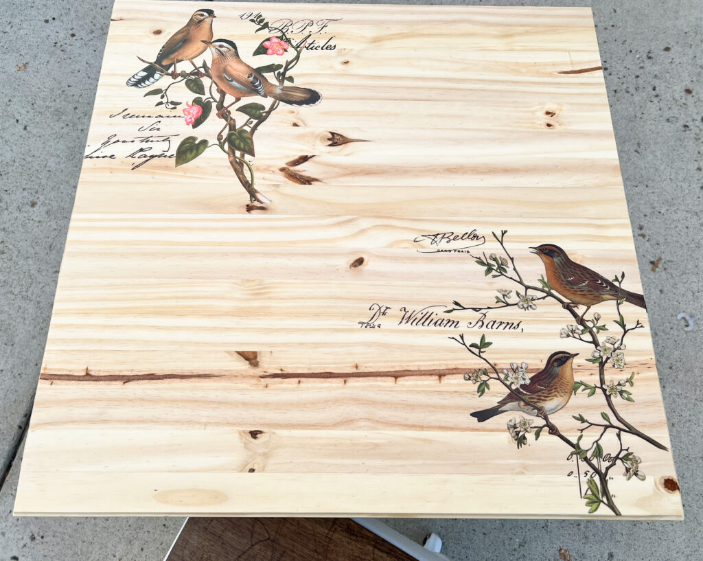 Redesign with Prima Postal Birds on wood